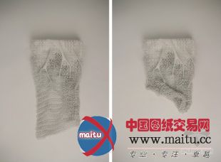 Softkill设计的3D印刷打印住房ProtoHouse