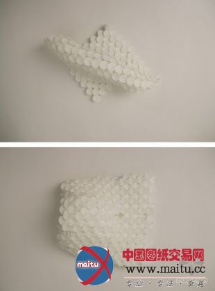 Softkill设计的3D印刷打印住房ProtoHouse