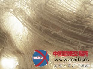 Softkill设计的3D印刷打印住房ProtoHouse