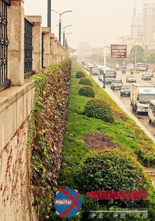 安庆市构建森林城市体系 建设环城绿色走廊