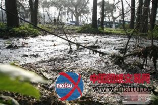 西湖续:排污管已被封堵