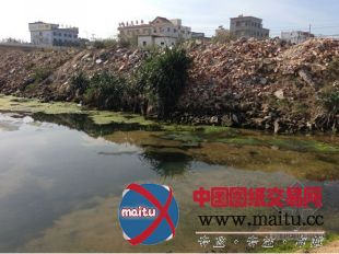 东方感恩河成“垃圾河” 浊臭不堪