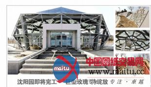 沈阳园“巨型玫瑰”绽放 采用“鸟巢”施工工艺