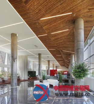 Tago设计的土耳其美轮美奂的SY大楼