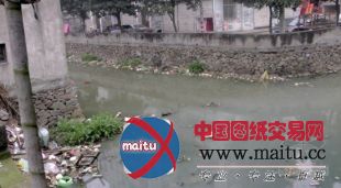 温州市长:5年后可在污染河里游泳(图)