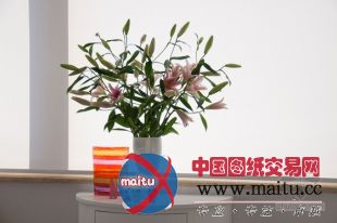 波兰宽敞舒适的阁楼住宅设计