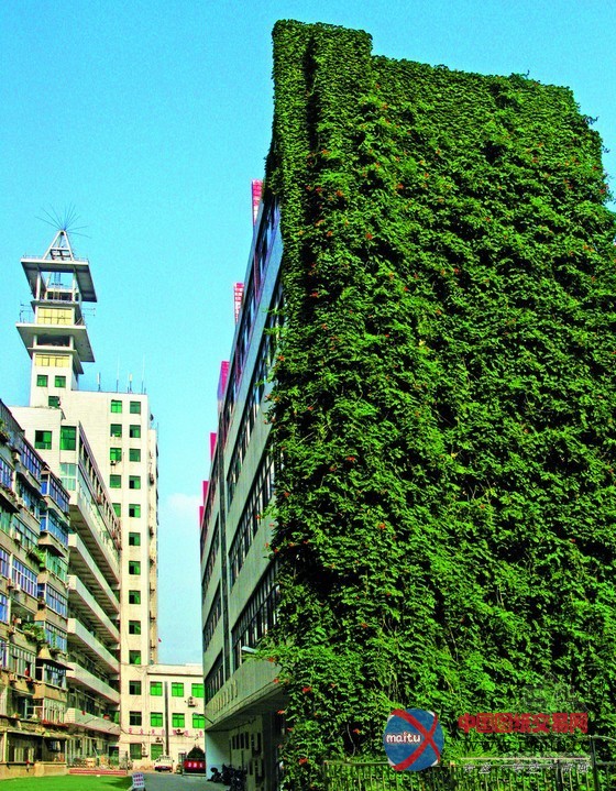 宜宾保障房审批开通“绿色通道”