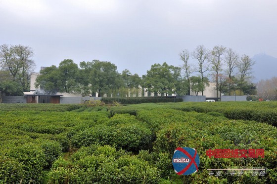 杭州九里云松精品度假酒店装修设计