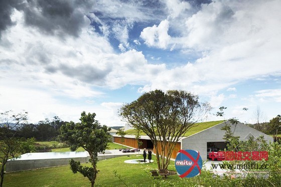 Studio MK27设计的MM住宅绿色屋顶