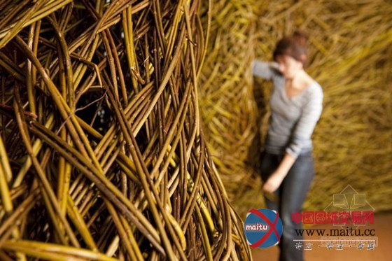 艺术家Laura Bacon用柳树编织的强大雕塑