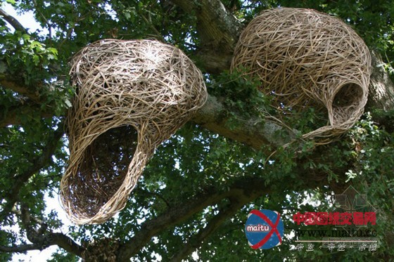 艺术家Laura Bacon用柳树编织的强大雕塑