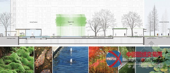 PWP设计的华盛顿八号街综合景观项目