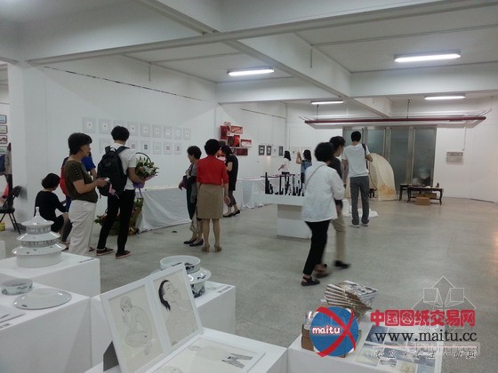 中央美术学院城市设计学院2013届本科生毕业设计作品展开幕