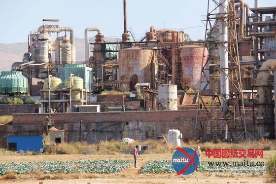 重返云南:缴税一千万 治污四十亿