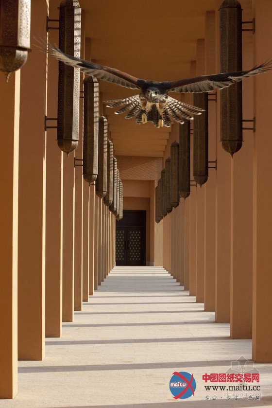 天衣无缝的沙漠度假享受 阿尔瓦迪悦榕庄