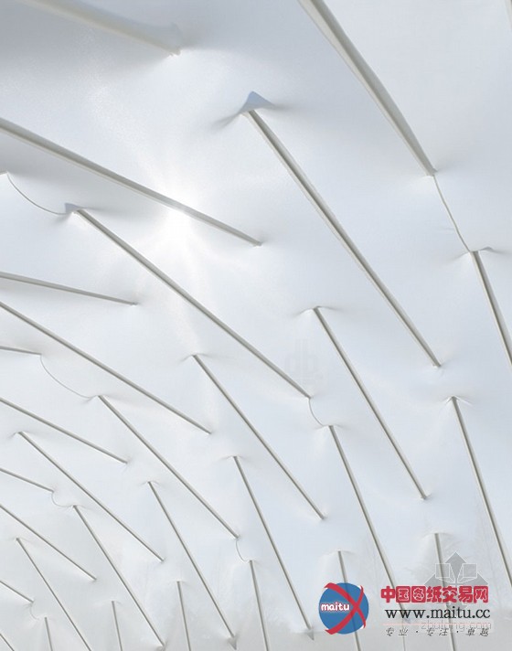 C+A Coelacanth等设计的日本MOOM临时展馆