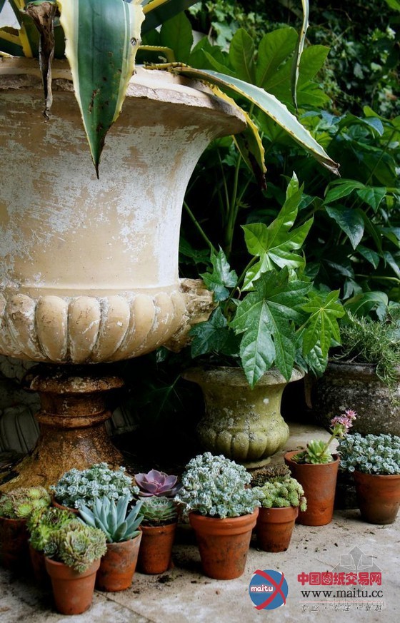 伦敦古玩家Will Fisher的花园