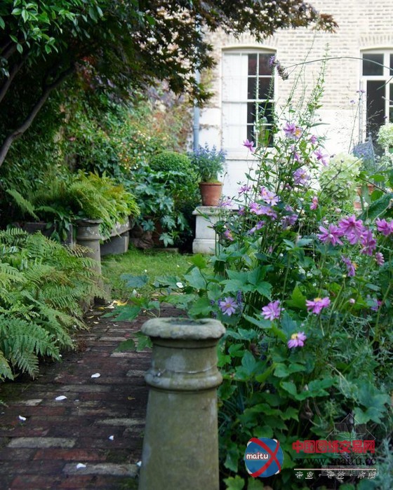 伦敦古玩家Will Fisher的花园