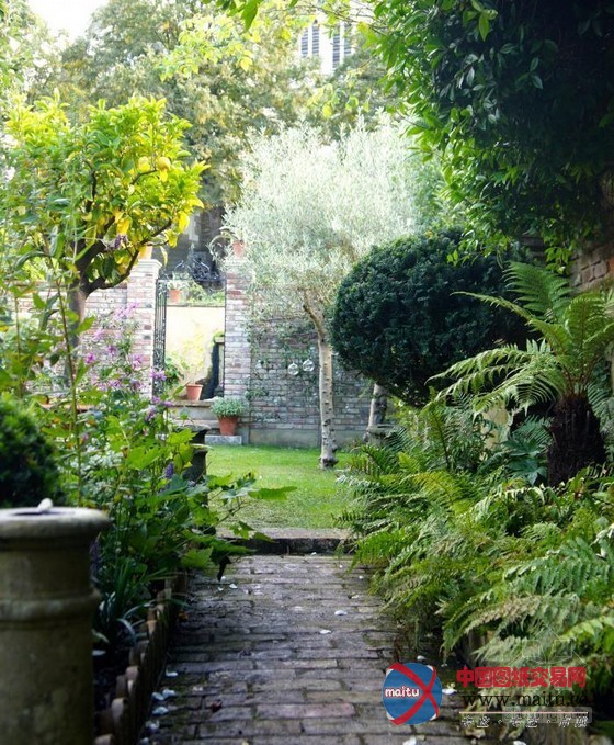 伦敦古玩家Will Fisher的花园