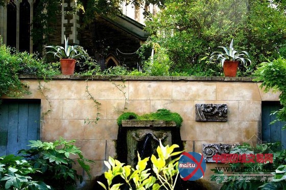 伦敦古玩家Will Fisher的花园