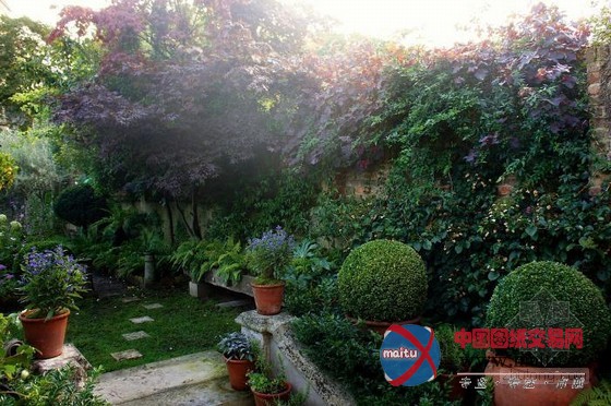 伦敦古玩家Will Fisher的花园