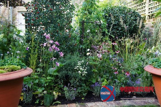 伦敦古玩家Will Fisher的花园