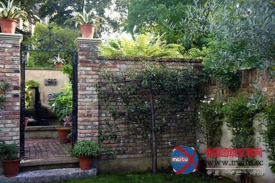 伦敦古玩家Will Fisher的花园