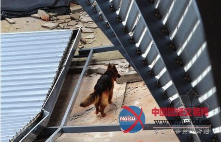 福州一幢三层附属楼楼疑装修导致坍塌