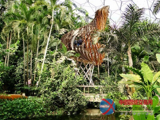 Blue forest设计的英国伊甸园生态“鸟巢”树屋