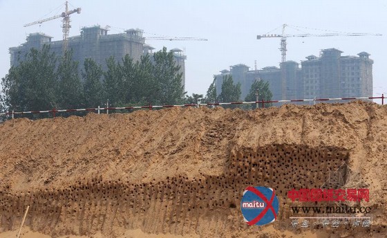 上万燕子工地筑巢 施工暂停待燕育雏