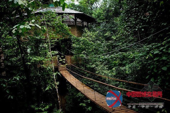 FincaBellavista设计的可持续树屋社区