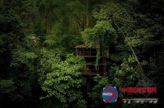 FincaBellavista设计的可持续树屋社区