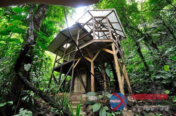 FincaBellavista设计的可持续树屋社区