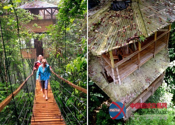 FincaBellavista设计的可持续树屋社区