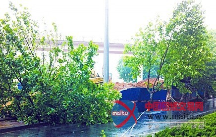 郑州塌陷十余米深坑 两家单位互推责任