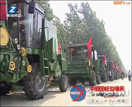 �����������ո��̤������ũ����������