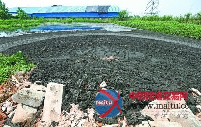 “污泥造臭潭”武汉全市污泥基本无处可倒