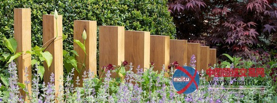 2013切尔西花展镀金奖:“视觉潜力”花园