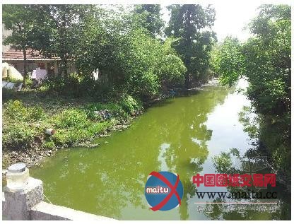 南京上海宁波化工企业周边测试水质空气情况