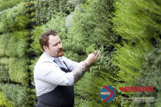 亚特兰大植物园