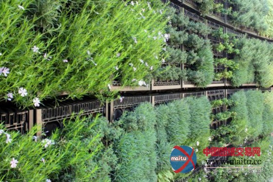 亚特兰大植物园