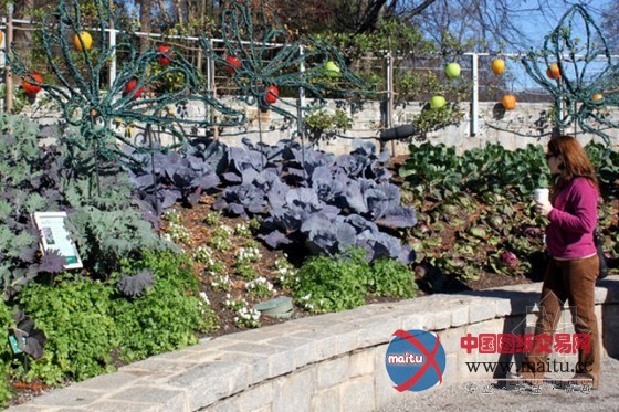 亚特兰大植物园