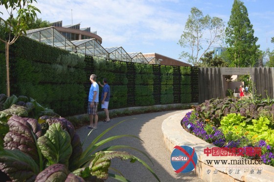 亚特兰大植物园