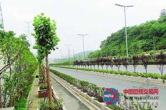 南京惊见史上最窄人行道