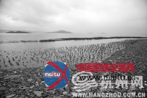 温州欲耗资335亿打造世界最大潮汐能电站