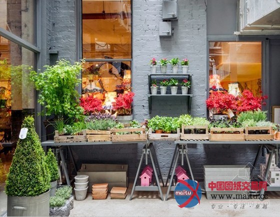 切尔西艺穗节上的Squint轻松花园