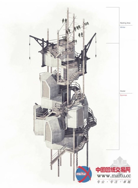 Thomas Savage设计的英国海滩“鸟巢”