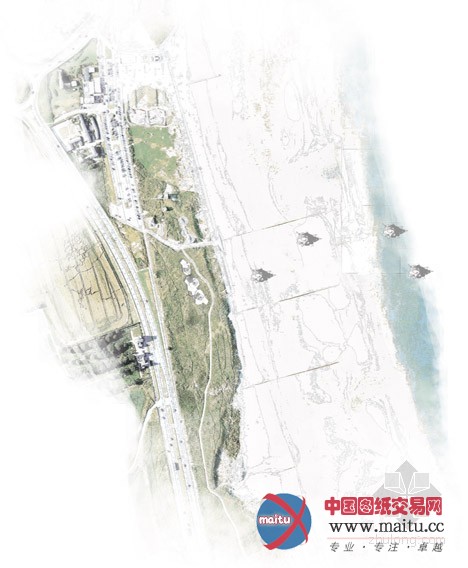 Thomas Savage设计的英国海滩“鸟巢”