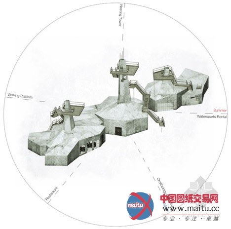 Thomas Savage设计的英国海滩“鸟巢”