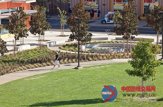 Green Works P.C.设计的加州大学戴维斯分校西村建设项目